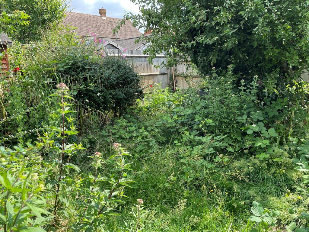 Lot: 97 - BUNGALOW IN NEED OF MODERNISATION - rear garden with store